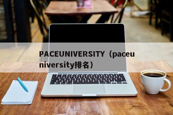 PACEUNIVERSITY（paceuniversity排名）