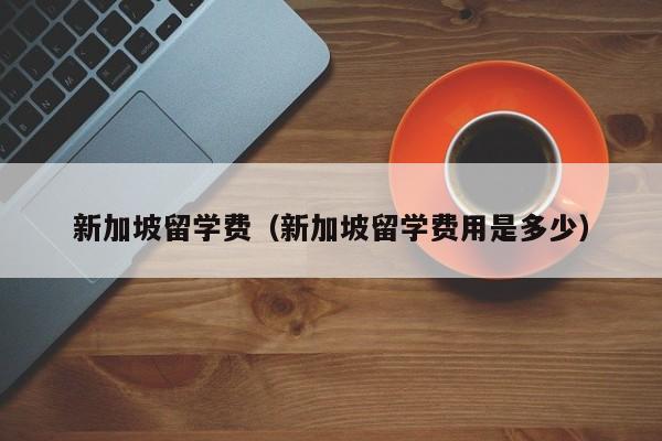 新加坡留学费（新加坡留学费用是多少）