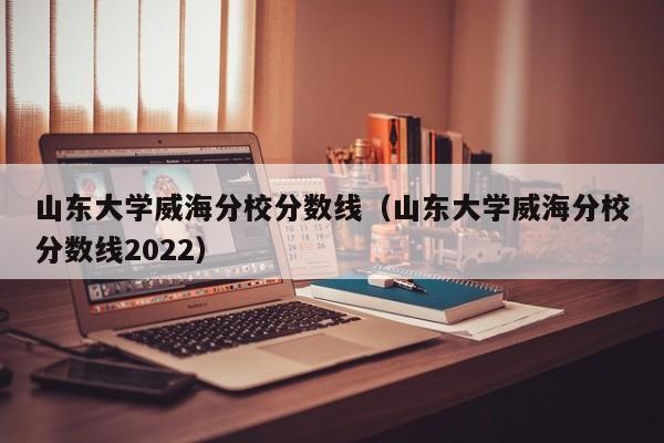 山东大学威海分校分数线（山东大学威海分校分数线2022）