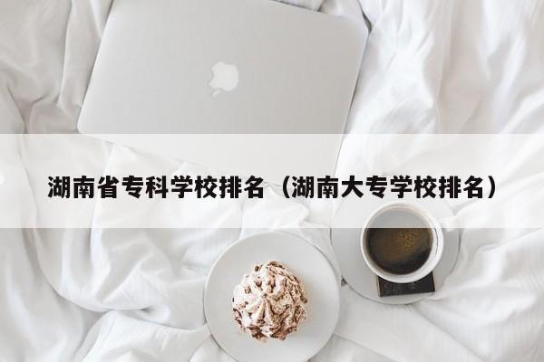 湖南省专科学校排名（湖南大专学校排名）