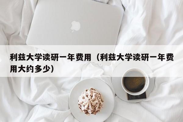 利兹大学读研一年费用（利兹大学读研一年费用大约多少）