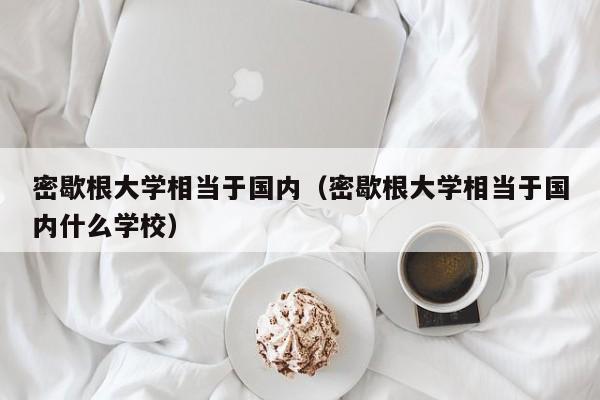 密歇根大学相当于国内（密歇根大学相当于国内什么学校）