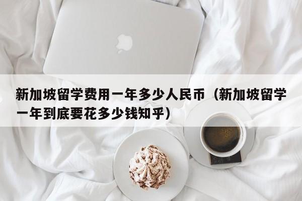 新加坡留学费用一年多少人民币（新加坡留学一年到底要花多少钱知乎）