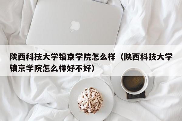 陕西科技大学镐京学院怎么样（陕西科技大学镐京学院怎么样好不好）