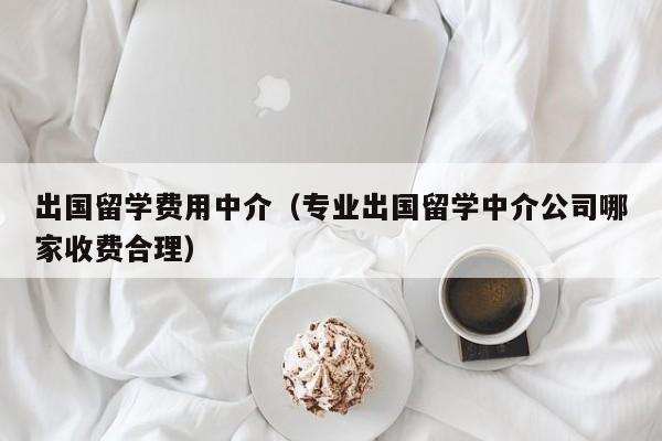 出国留学费用中介（专业出国留学中介公司哪家收费合理）